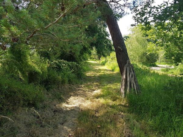 Propriete à vendre à Gièvres dans le Loir-et-Cher (41130), ref : 41036/2781