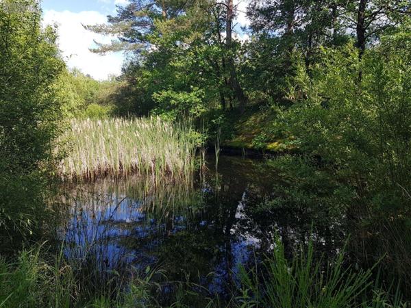 Propriete à vendre à Gièvres dans le Loir-et-Cher (41130), ref : 41036/2781