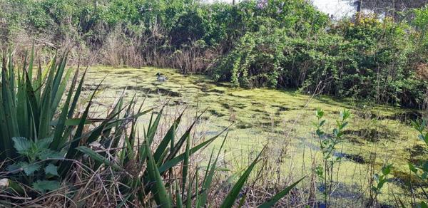 Propriete à vendre à Gièvres dans le Loir-et-Cher (41130), ref : 41036/2781