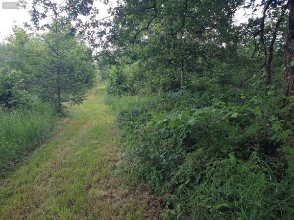 Propriete à vendre à Gièvres dans le Loir-et-Cher (41130), ref : 41036/2781