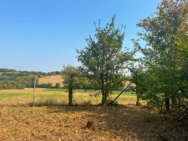 Maison en pierre à vendre 5 pièces MONTESQUIOU (32) - 147 m² habitables avec atelier 150 m2 - Terrain 2870 m2