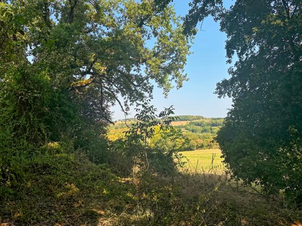 Maison en pierre à vendre 5 pièces MONTESQUIOU (32) - 147 m² habitables avec atelier 150 m2 - Terrain 2870 m2