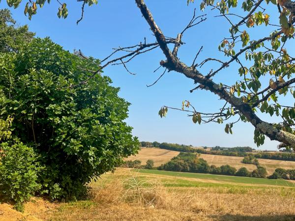 Maison en pierre à vendre 5 pièces MONTESQUIOU (32) - 147 m² habitables avec atelier 150 m2 - Terrain 2870 m2