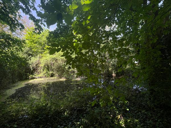 Maison de campagne de caractère 1 heure Paris sud terrain boisé avec étang 4353m²