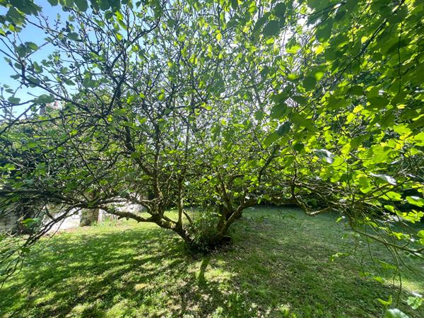 Maison de campagne de caractère 1 heure Paris sud terrain boisé avec étang 4353m²