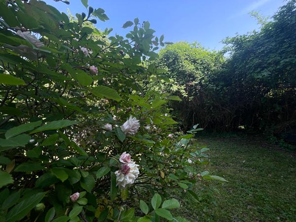 Maison de campagne de caractère 1 heure Paris sud terrain boisé avec étang 4353m²