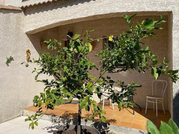 Maison à vendre    4 pièces • 84 m2    Mèze