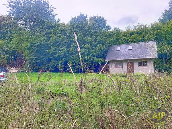 Vente terrain Bouille Menard : 47 000 € - AJP Immobilier Segré