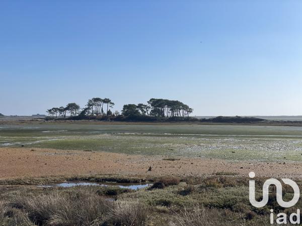 Terrain à vendre 8 500 m² Riantec