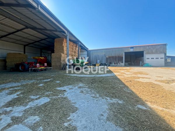 Entreprot et maison à VENDRE !