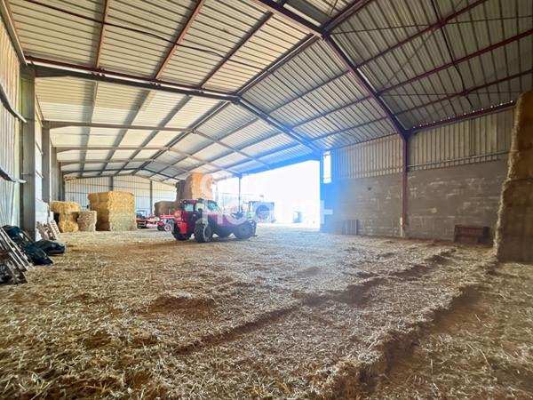 Entreprot et maison à VENDRE !