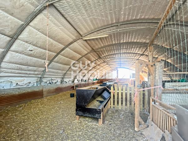 Entreprot et maison à VENDRE !