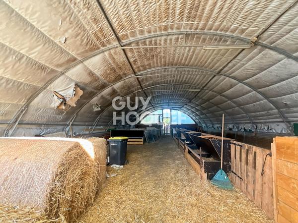 Entreprot et maison à VENDRE !