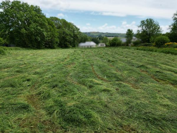 Terrain à vendre    Saint-Chély-d'Aubrac