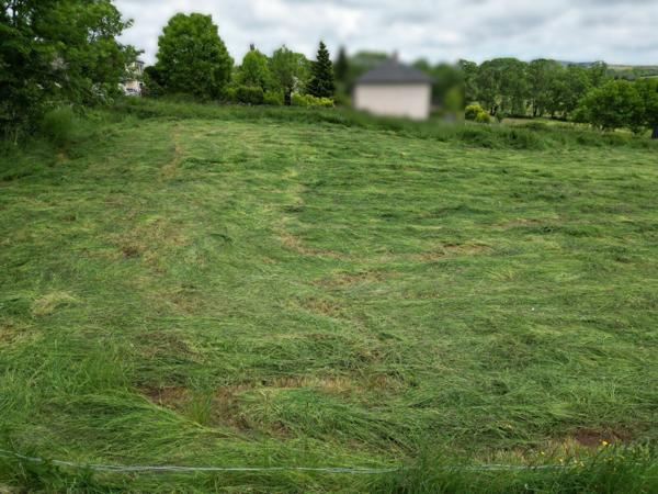Terrain à vendre    Saint-Chély-d'Aubrac