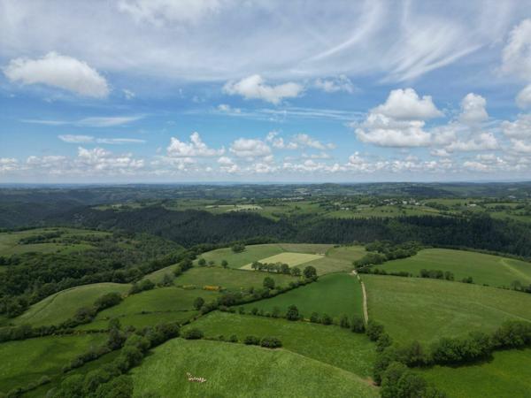 Terrain à vendre    Saint-Chély-d'Aubrac