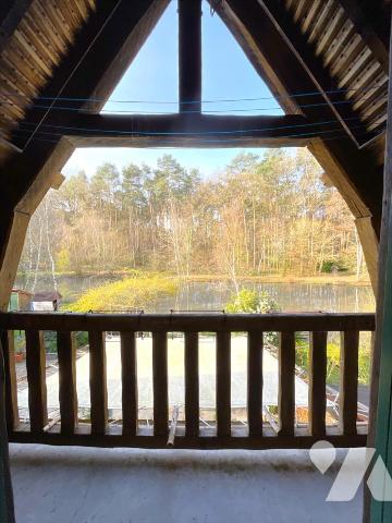 Maison avec étang - 134 m² - ST LAURENT NOUAN