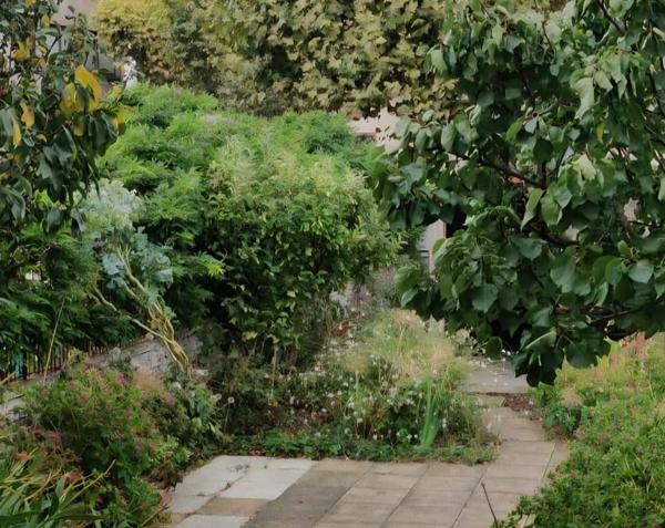 Champigny-sur-Marne (94500) À VENDRE – Maison 6 pièces rénovée par architectes – Quartier du Plant, Champigny-sur-Marne