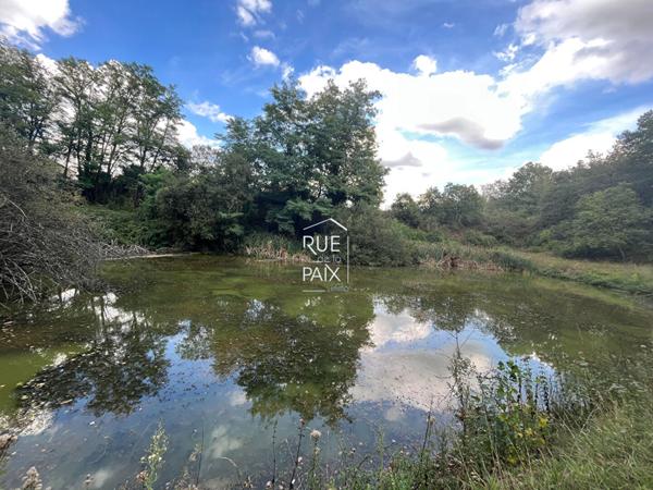 86530 NAINTRE Terrain de loisirs Naintre 11433 m2