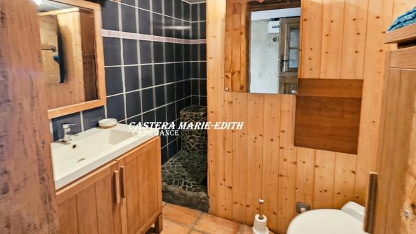 Propriété - 500 M² habitables 26 PIECES- 12 Chambres avec vue Pyrénées à 6 minutes de Marciac – Maison, gîtes, salle Polyvalente d’événements, cabinet de praticien, Prairies et dépendance