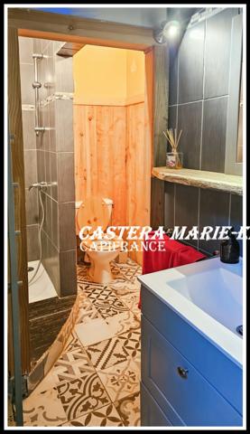 Propriété - 500 M² habitables 26 PIECES- 12 Chambres avec vue Pyrénées à 6 minutes de Marciac – Maison, gîtes, salle Polyvalente d’événements, cabinet de praticien, Prairies et dépendance