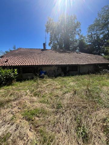 Authentique Ferme avec 5 hectares attenant