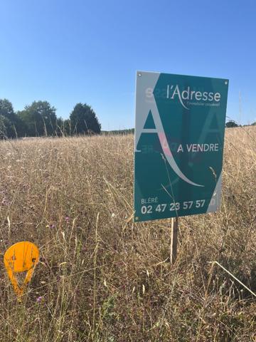 terrain constructible