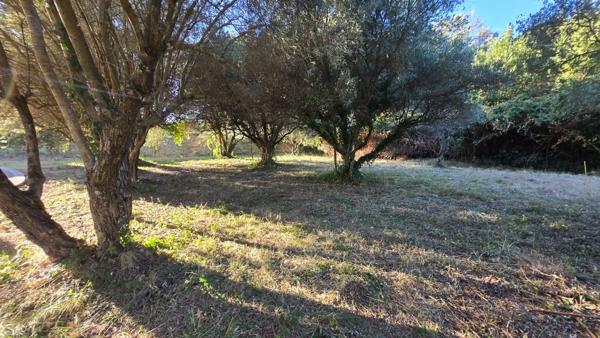 Terrain à vendre - viabilisé - 401 m2 - Castries (34)