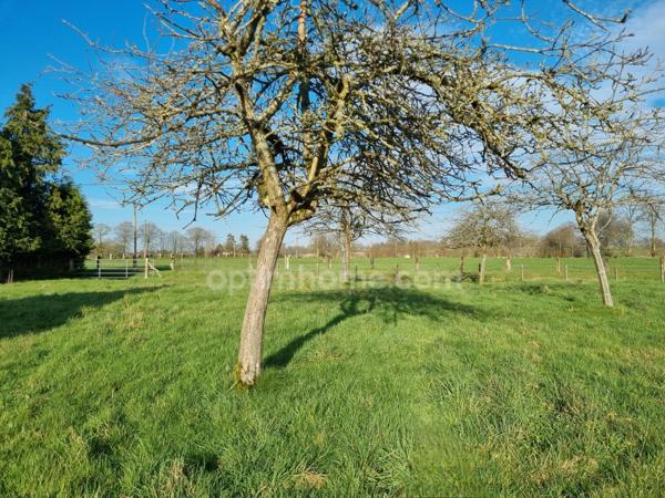 🌟 EXCLUSIVITÉ – RARE À LA VENTE ! 🌟 Bâtisse à vendre