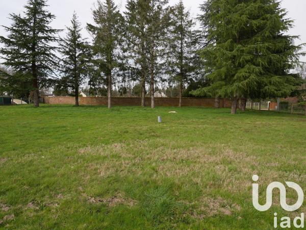 Maison rustique 5 pièces de 109 m² à Sennely (45240)