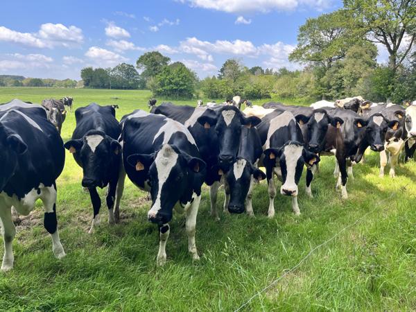 Grand-Champ (56390) Maison en pierre en location meublée