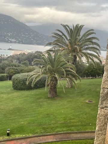 Vente Immeuble 700 m2 à Ajaccio