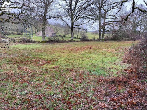 A MAURIAC, à 8 mn en voiture du centre-ville, terrain constructible d'une surface totale d'envi...
