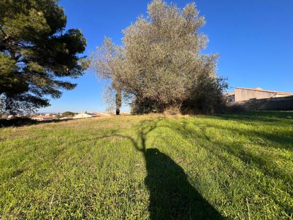 Exceptionnel Terrain à bâtir, de 1030 m2 libre de constructeur !