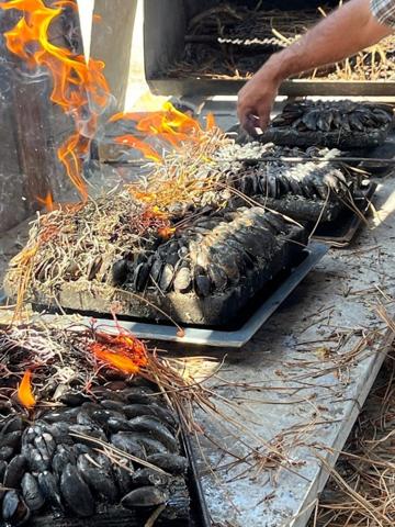 ILE D'OLÉRON emplac N°1, AV Murs 321m², marais 1,2ha et Fonds aquacole de production & dégustation de fruits de mer