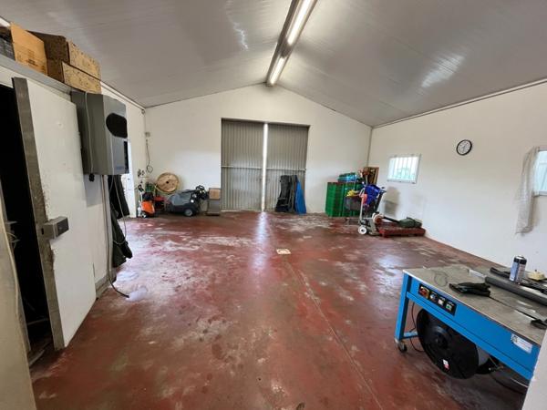 ILE D'OLÉRON emplac N°1, AV Murs 321m², marais 1,2ha et Fonds aquacole de production & dégustation de fruits de mer