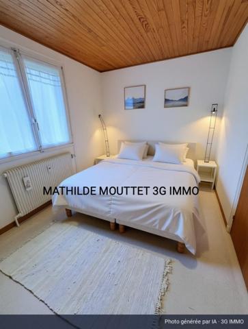Vente / Appartement T2 à Huez (38750)