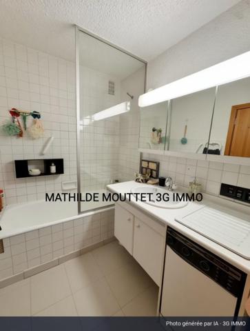 Vente / Appartement T2 à Huez (38750)