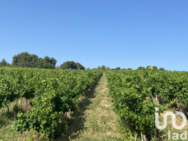 Terrain à vendre 216 211 m² Magalas