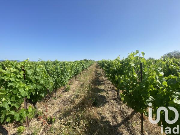 Terrain à vendre 216 211 m² Magalas