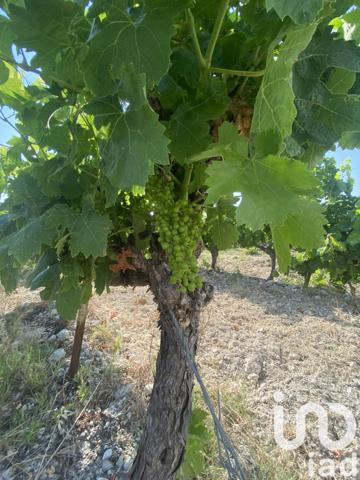 Terrain à vendre 216 211 m² Magalas