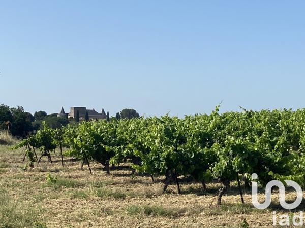 Terrain à vendre 216 211 m² Magalas