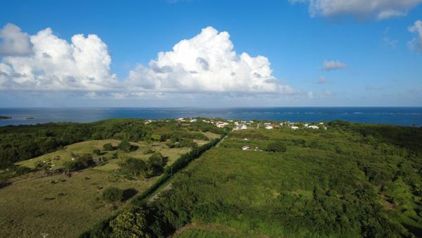 Terrain constructible de 2 000 m² au Vauclin (97280)