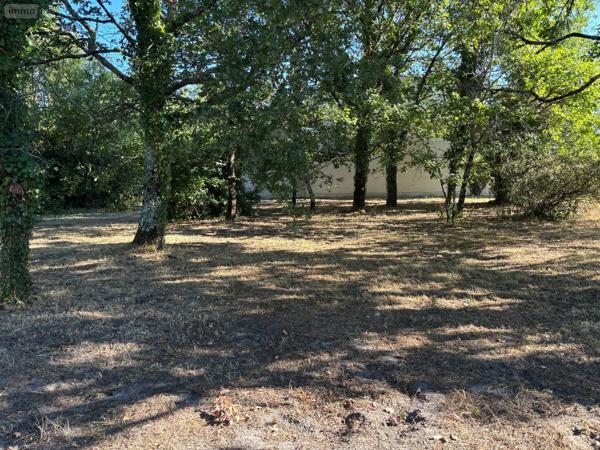 Achat - Terrain à bâtir | Terrain à bâtir Parempuyre 33290 1323 m 2 1323 m 2