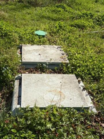 Proche PLAISANCE DU GERS (32), BELLE MAISON XIX, 200m2 dont 140 habitables, sur jardin clos de murs et de haies de 1600m2