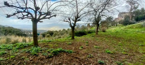 Appartement 80.5 m2 à Sartène - au calme