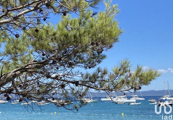 Appartement 5 pièces de 116 m² à La Londe-les-Maures (83250)