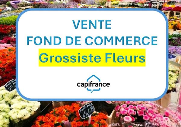 BASTIA : vente FDC GROSSISTE FLEURS ET PLANTES.