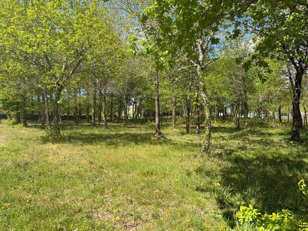 Terrain à bâtir 573m²