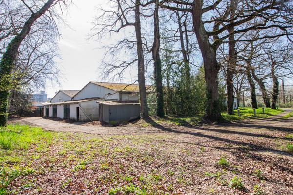 Commerce à vendre à Angoulême (16000) - Charente